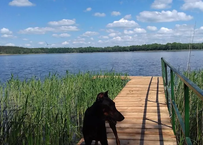 Domek Nad Jeziorem -mazury- Linia Brzegowa